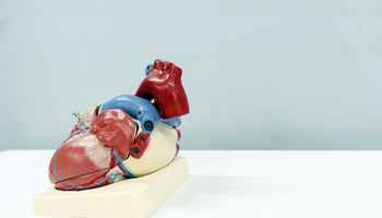 Healthy Heart – lower your risks of heart disease — Express Medicals