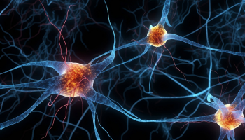 Neurodiversity in the workplace : why employers need a structured pathway — Express Medicals