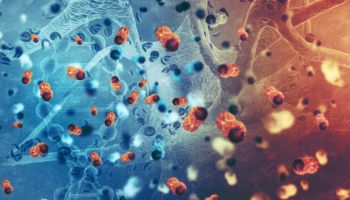 Supporting Groundbreaking Prostate Cancer Research at UCL
